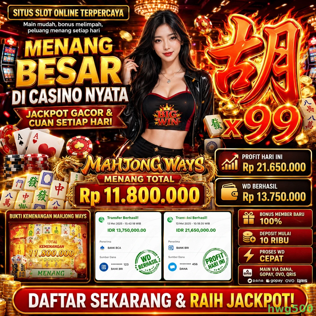 hwg500